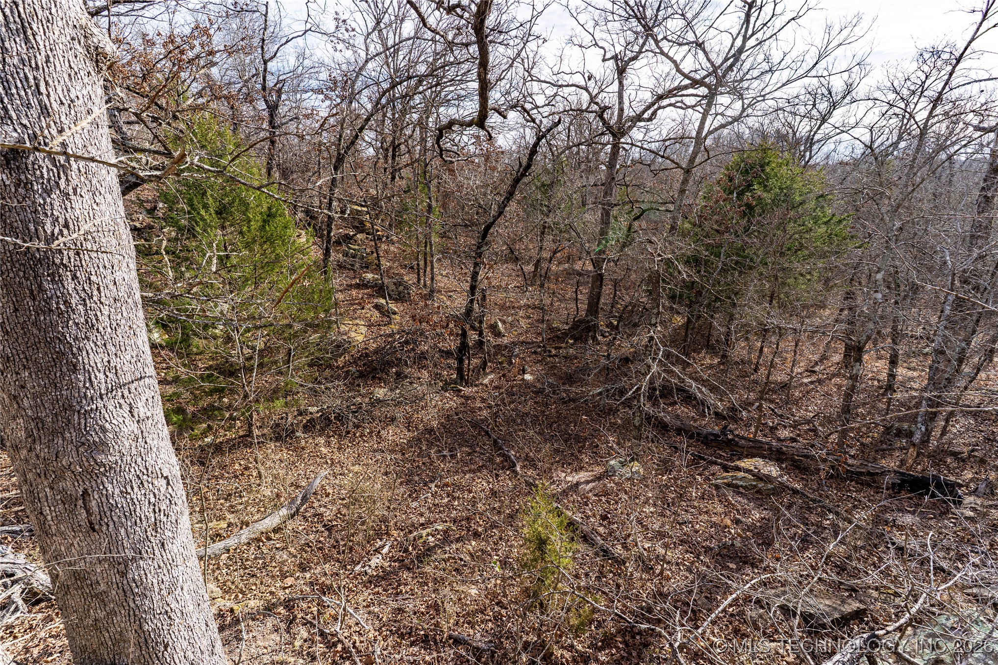 0000 Ns 367 Road Property Photo 24