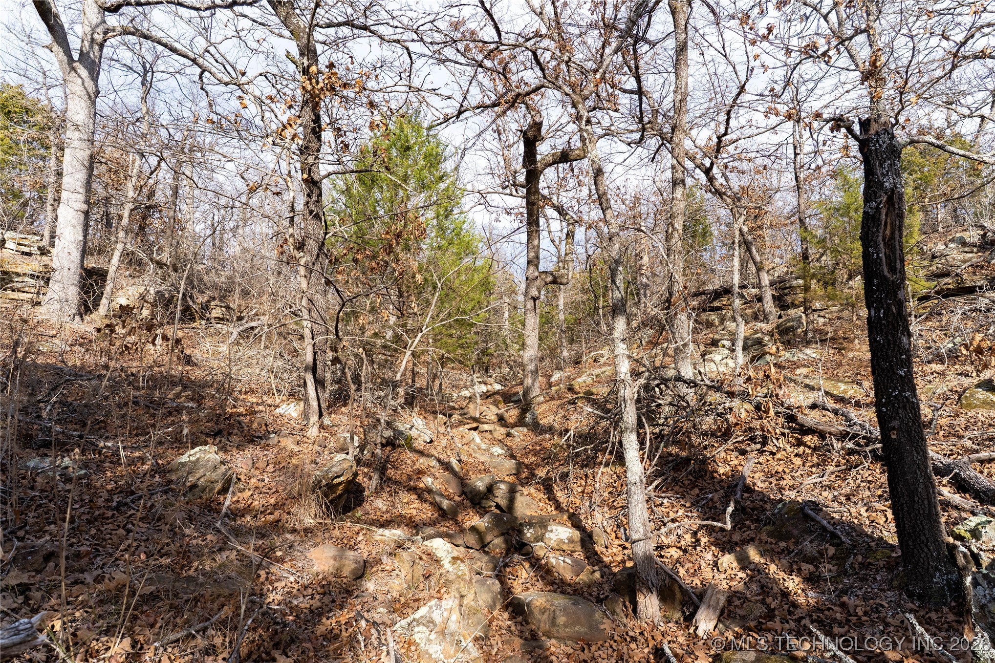 0000 Ns 367 Road Property Photo 25