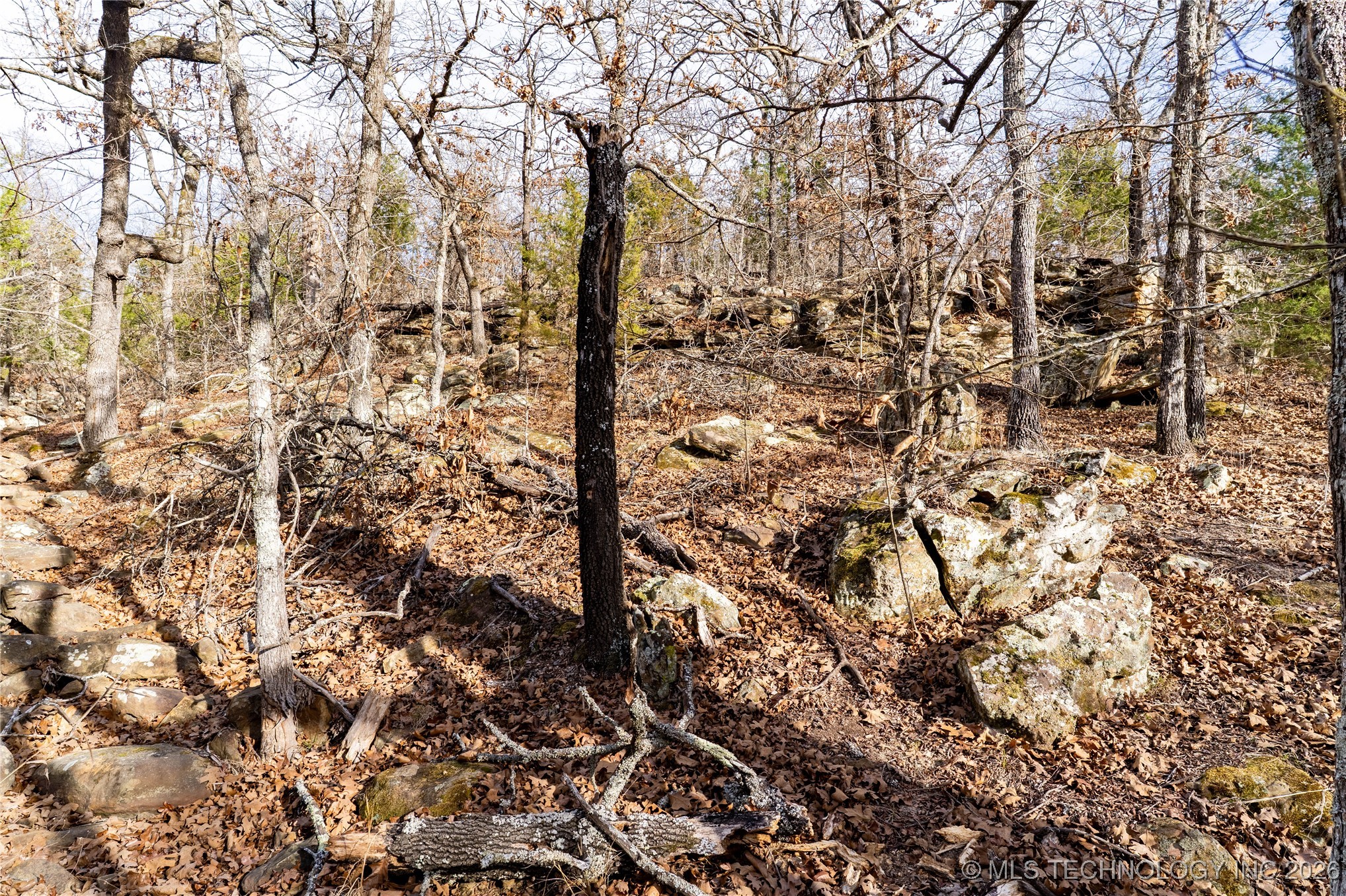 0000 Ns 367 Road Property Photo 26