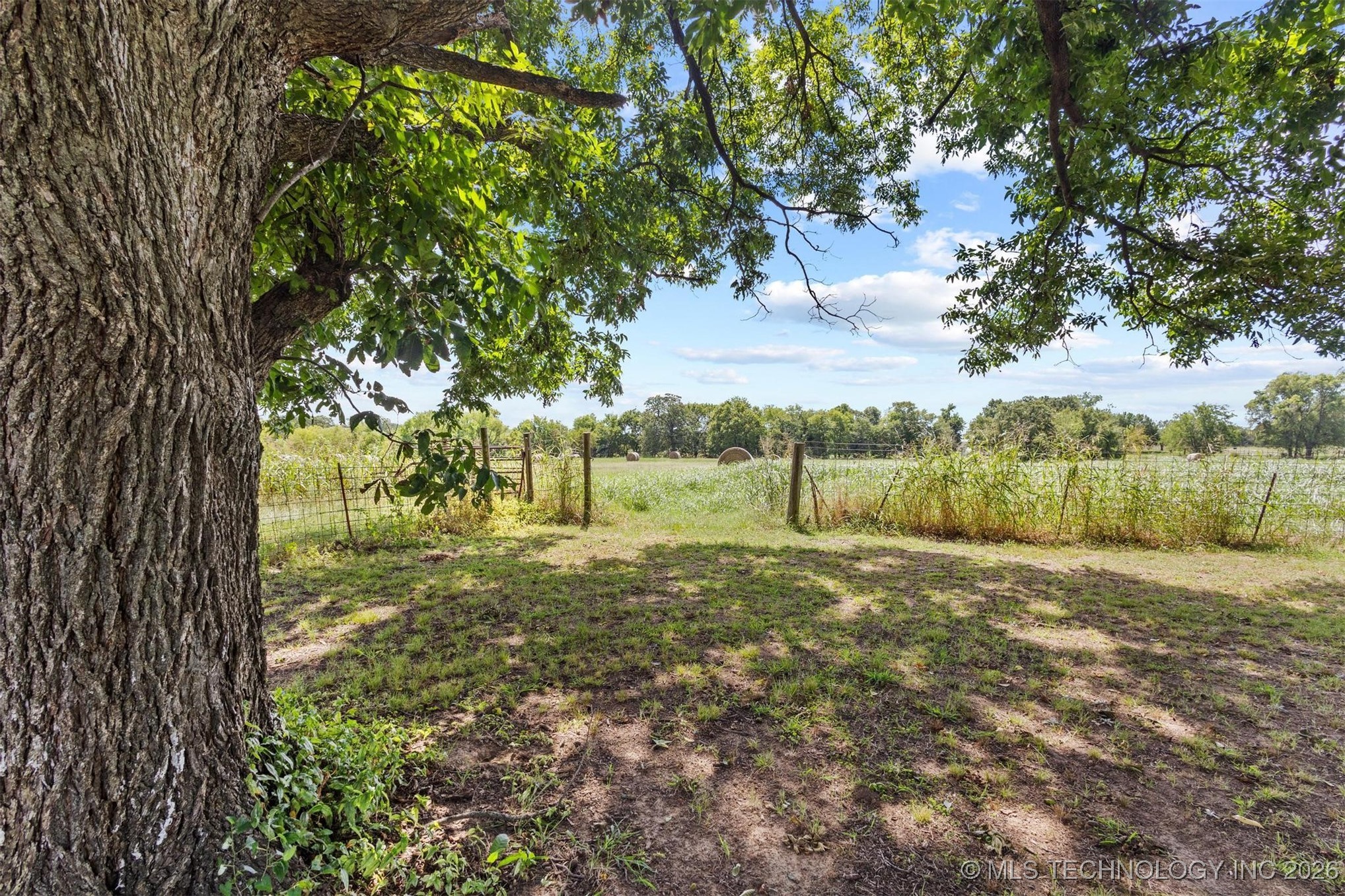 419 Mead Cemetery Property Photo 45