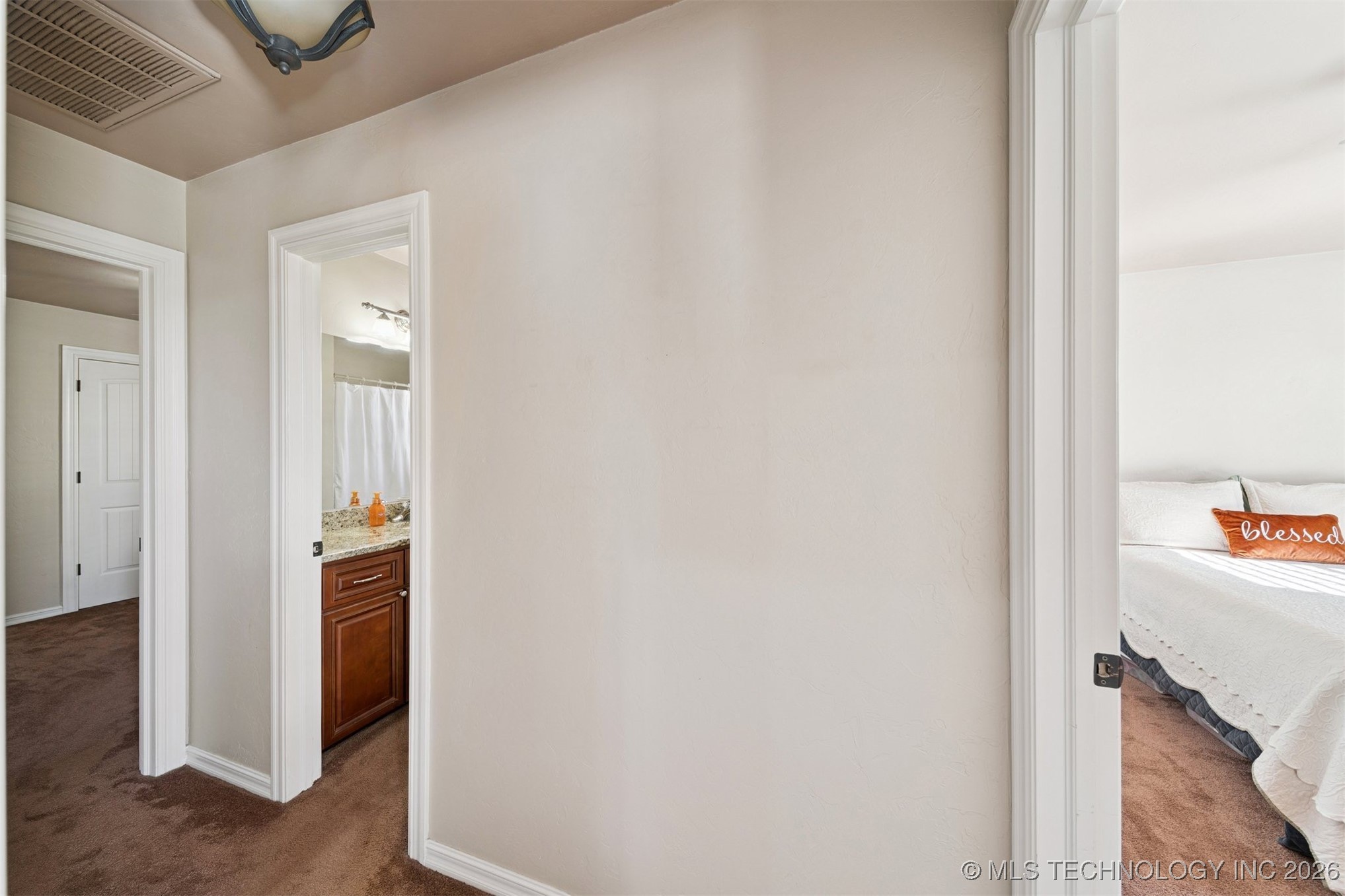 911 E 14th Street Property Photo 22