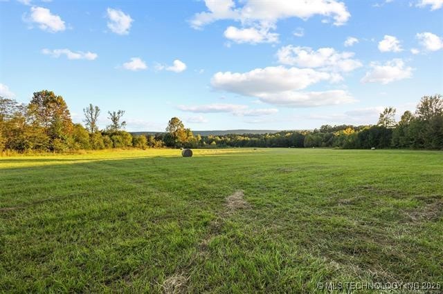 2601089 Property Photo 5