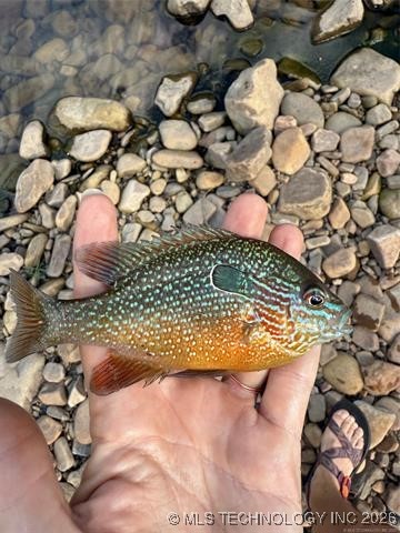 2601089 Property Photo 9