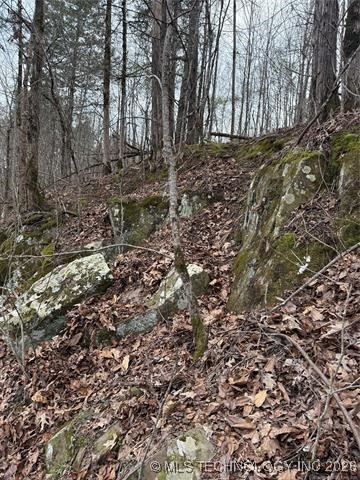 2601089 Property Photo 20