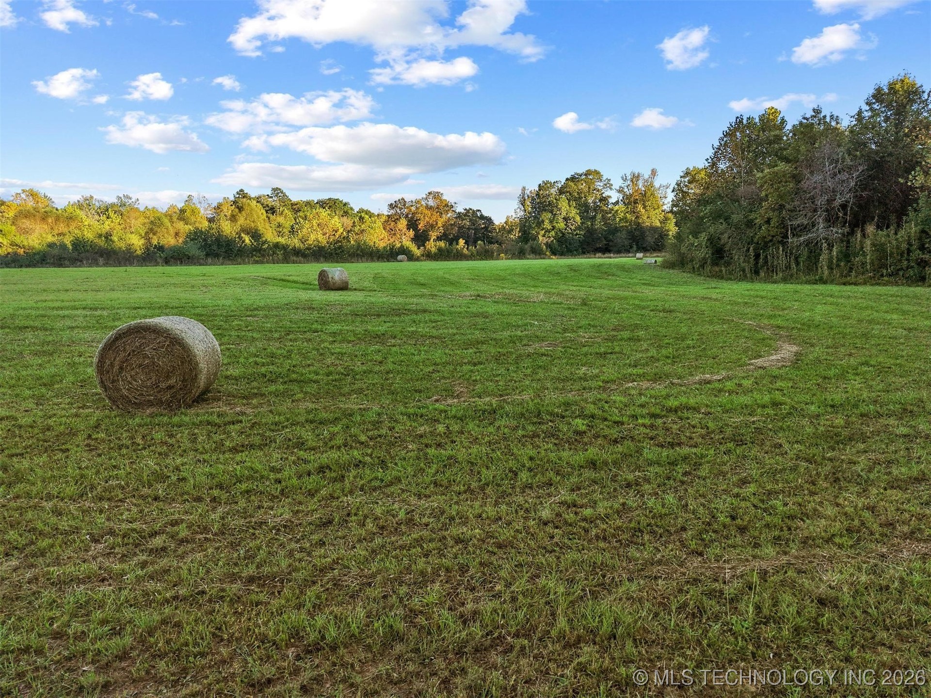 2601089 Property Photo 21