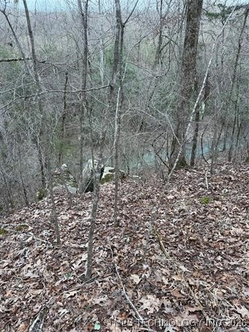 2601089 Property Photo 24