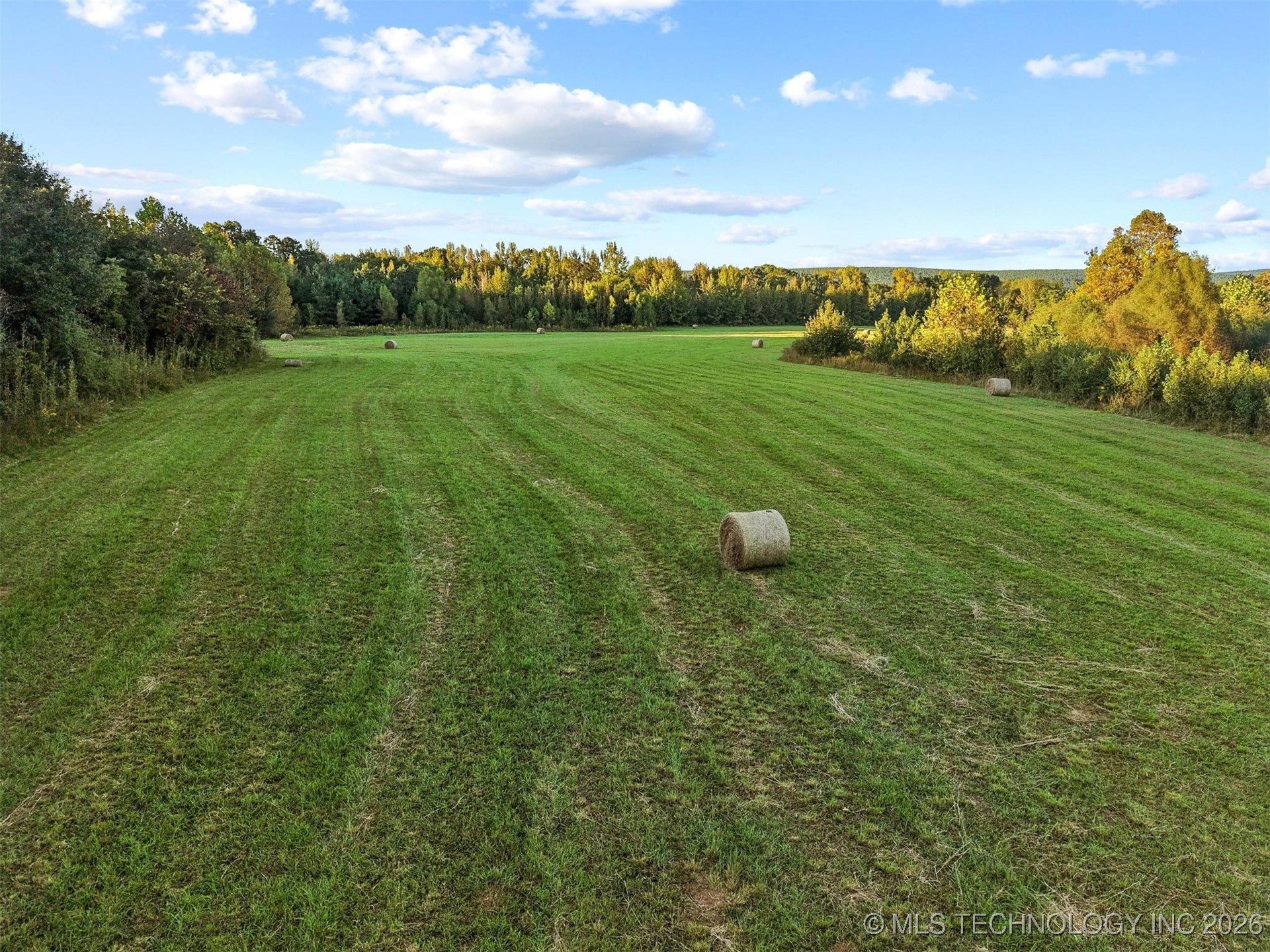 2601089 Property Photo 28