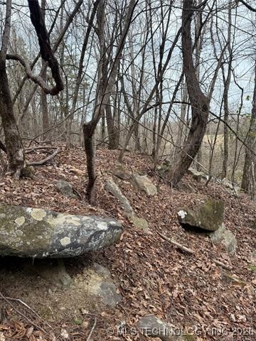 2601089 Property Photo 34