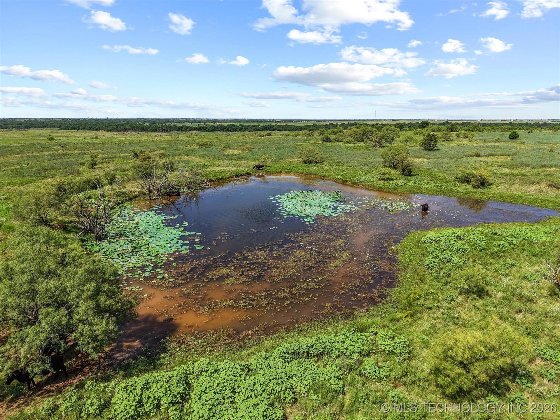 State Highway 32 Property Photo 19