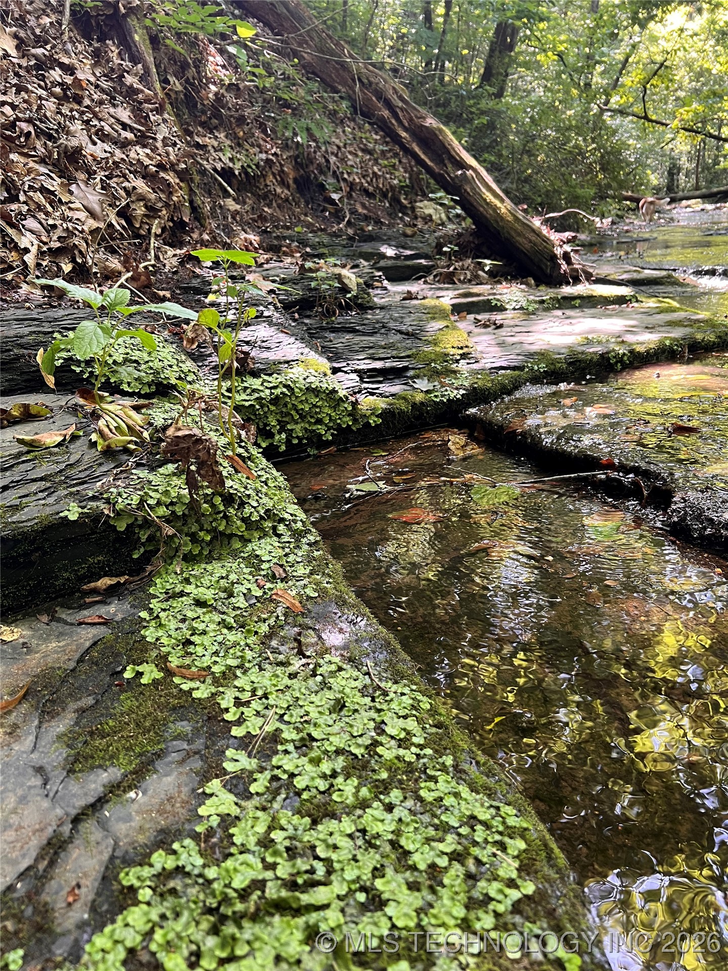 8147 N 544 Property Photo 6