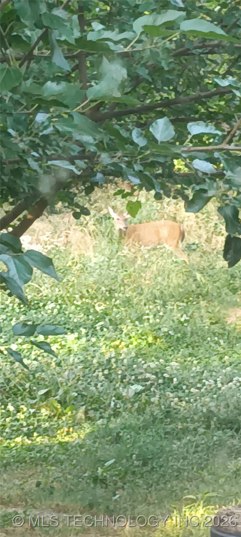 8147 N 544 Property Photo 27