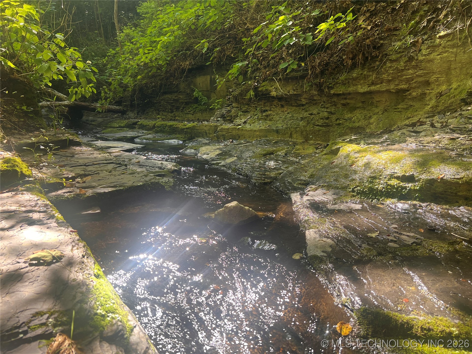 8119 N 544 Property Photo 6