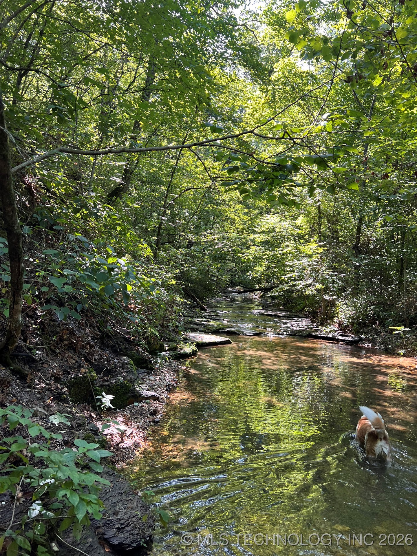 8119 N 544 Property Photo 10