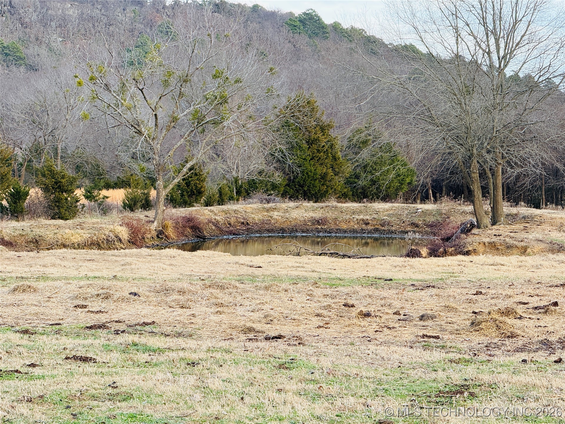 41 Lynnwood Property Photo 18