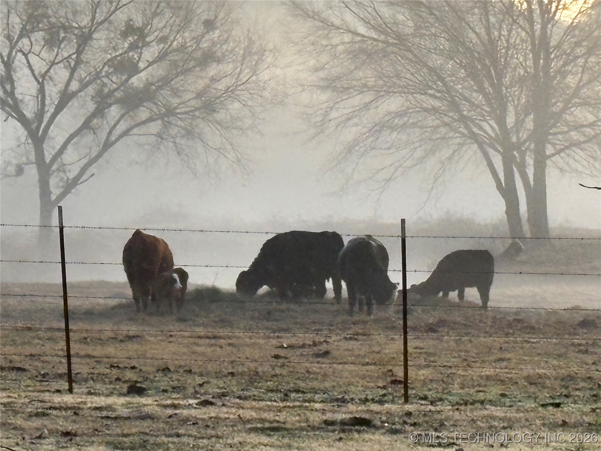 41 Lynnwood Property Photo 19