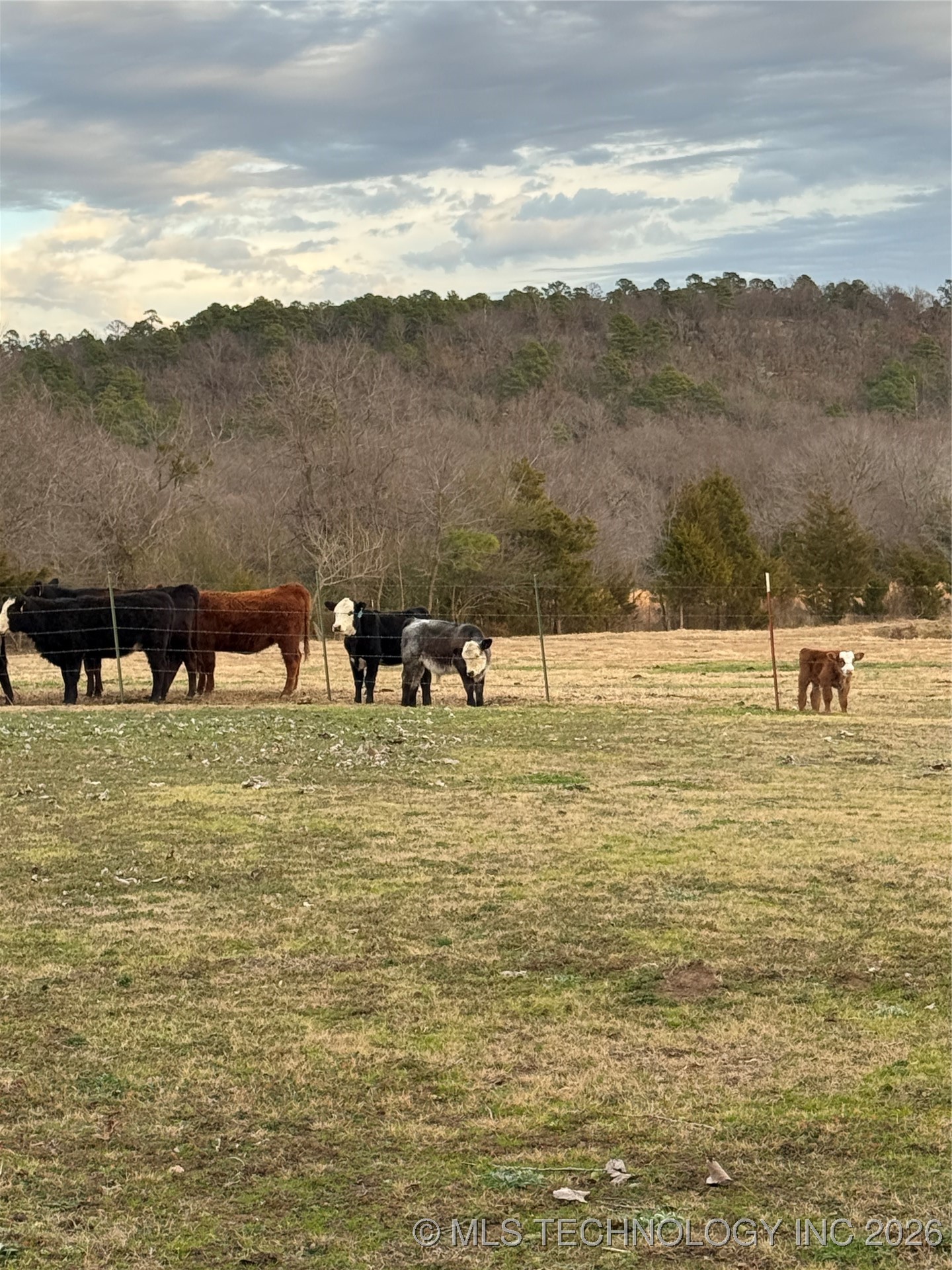 41 Lynnwood Property Photo 57