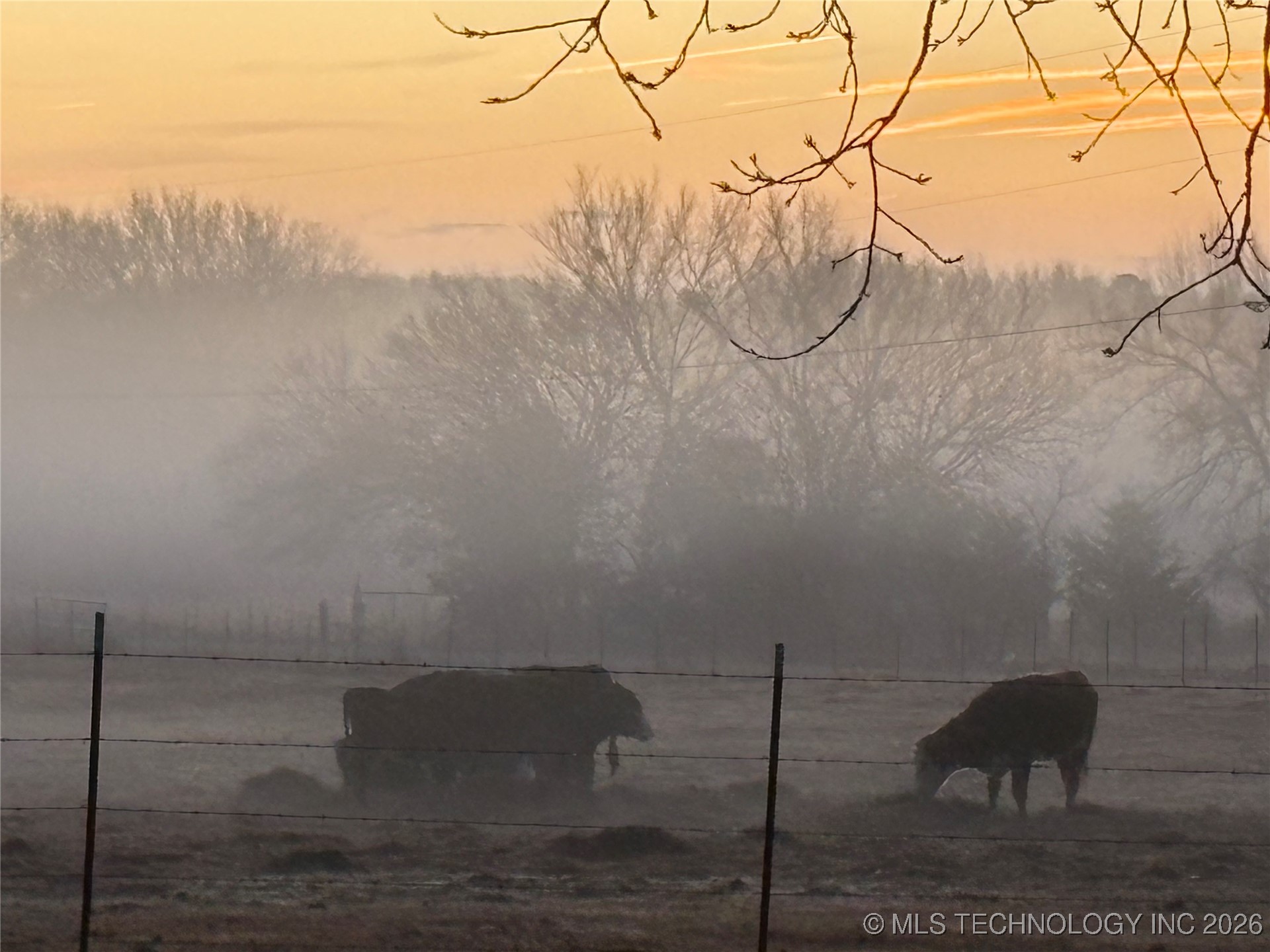 41 Lynnwood Property Photo 58
