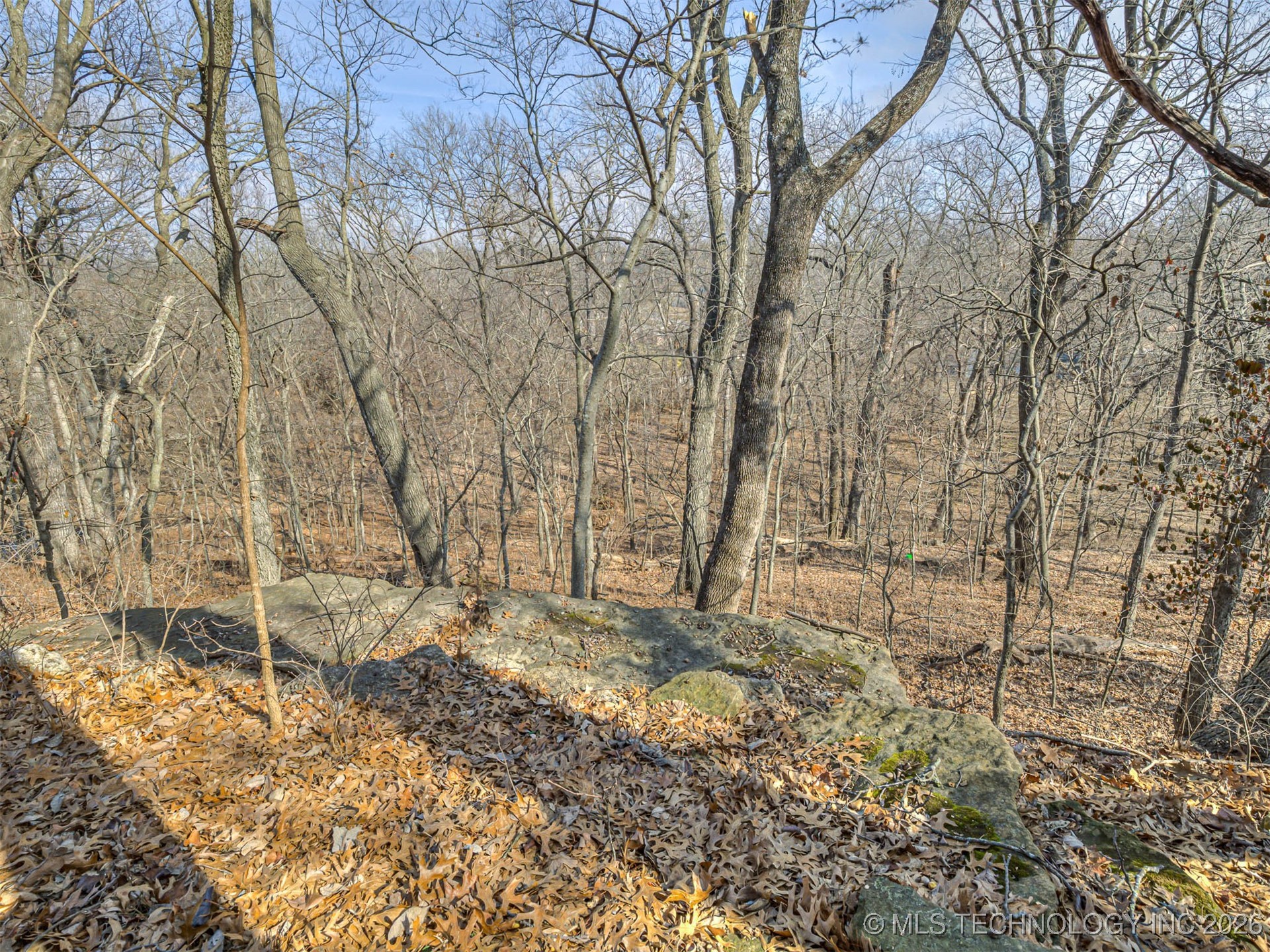 1201 Dogwood Court Property Photo 40