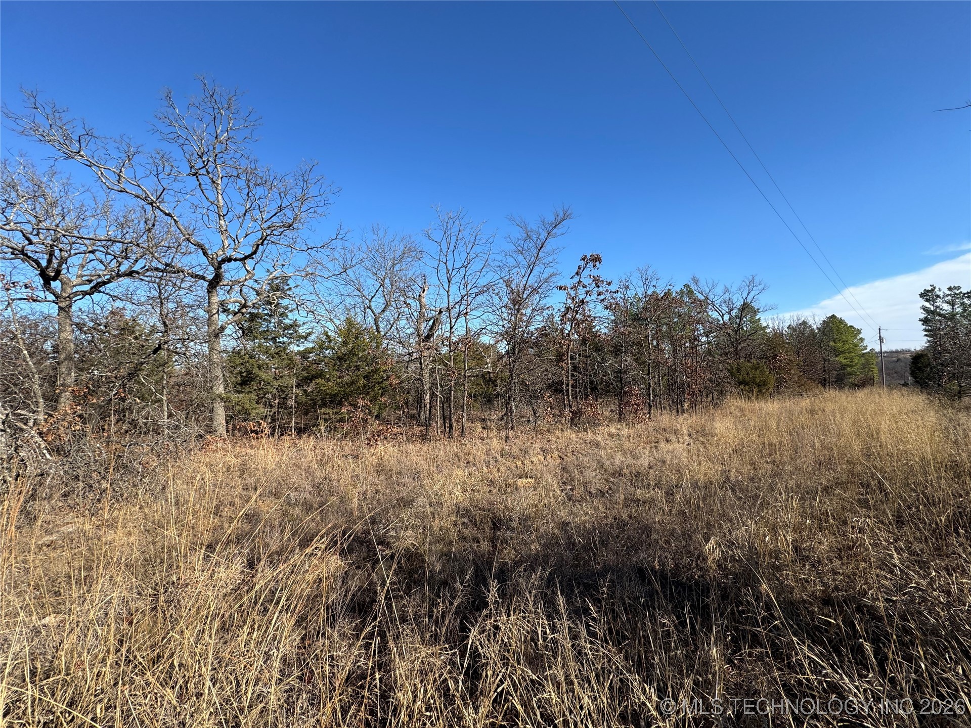 2501 Lott Bottom Property Photo 12