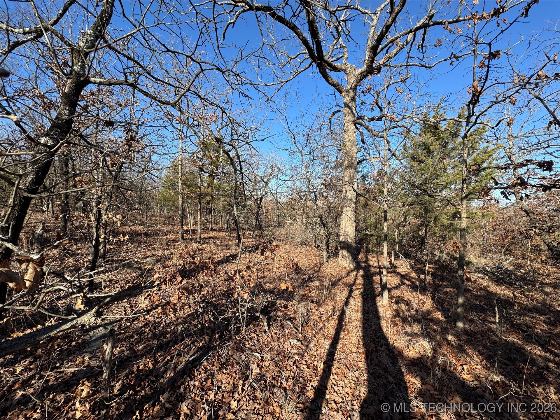 2501 Lott Bottom Property Photo 13