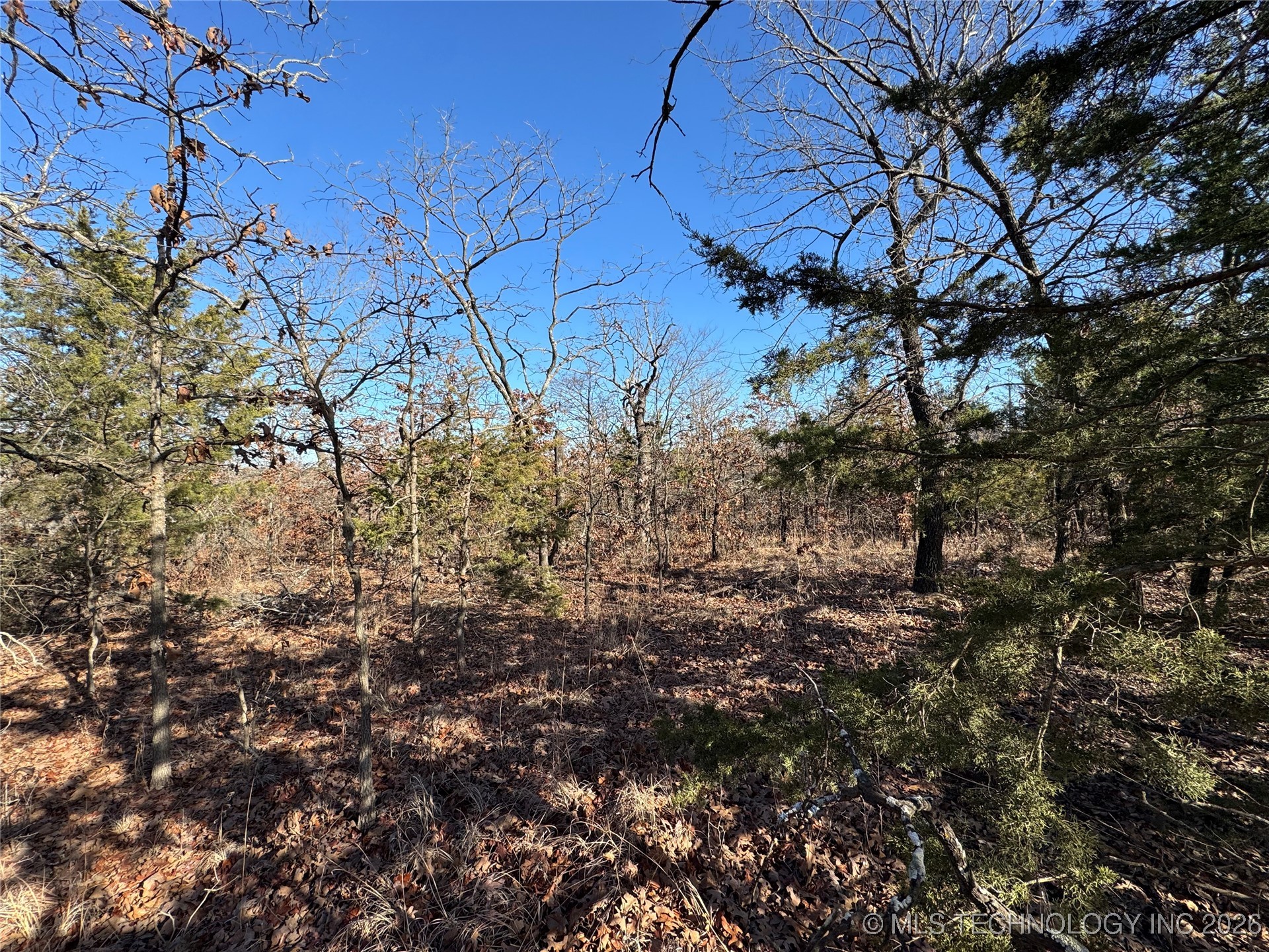 2501 Lott Bottom Property Photo 14