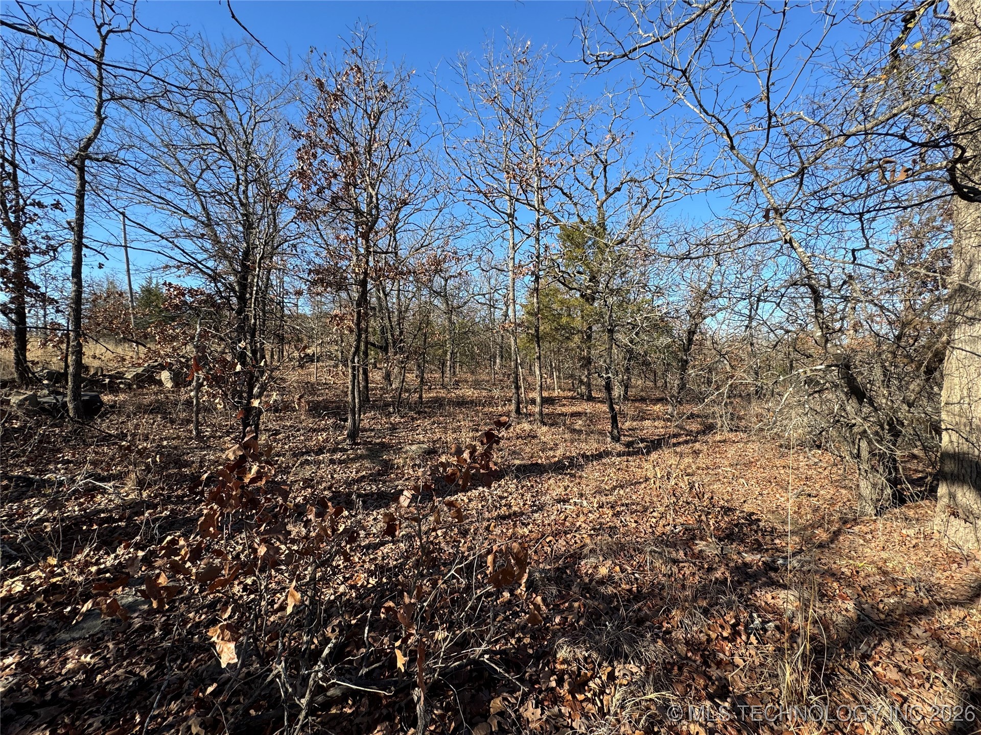 2501 Lott Bottom Property Photo 15