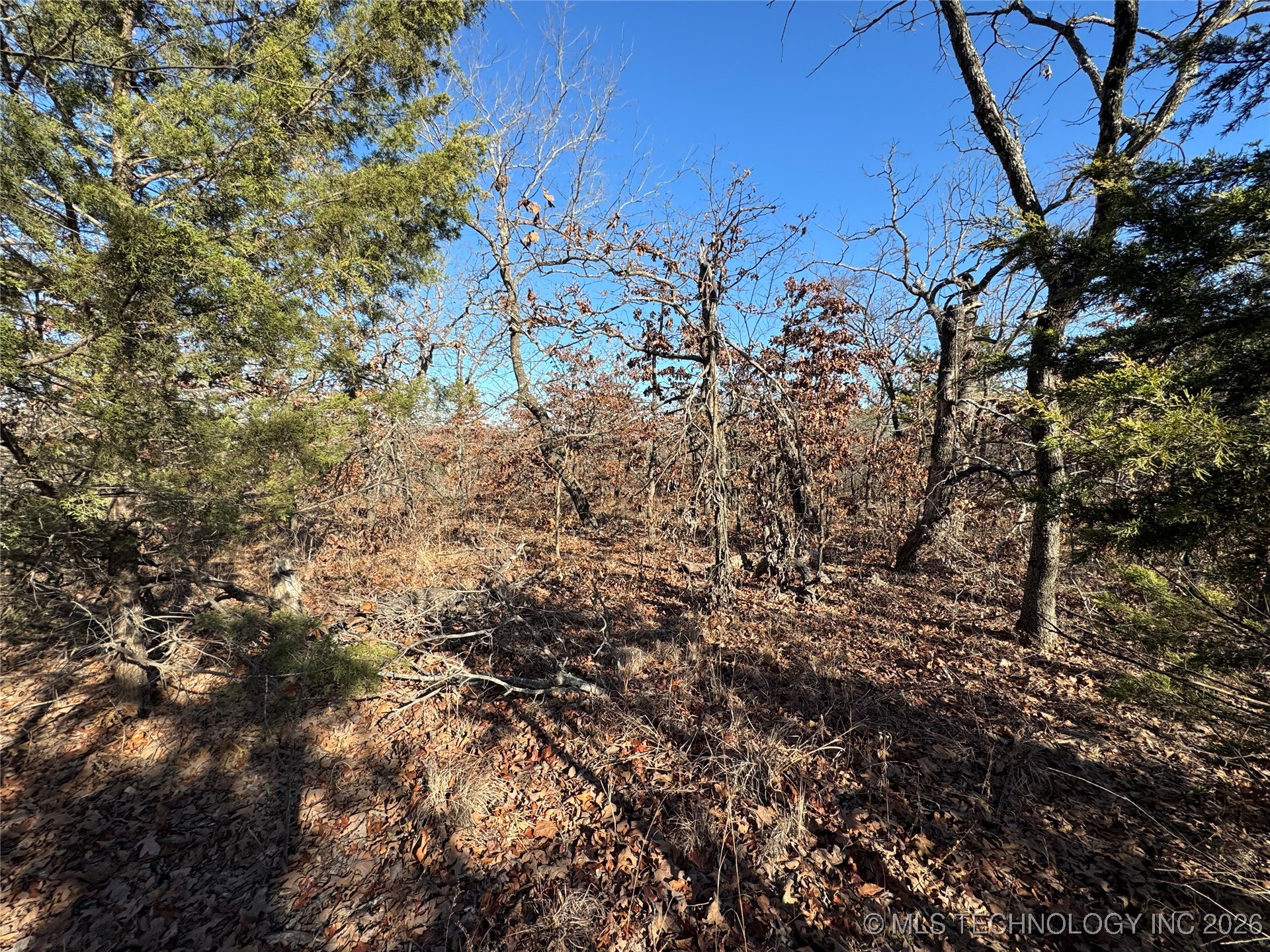 2501 Lott Bottom Property Photo 16