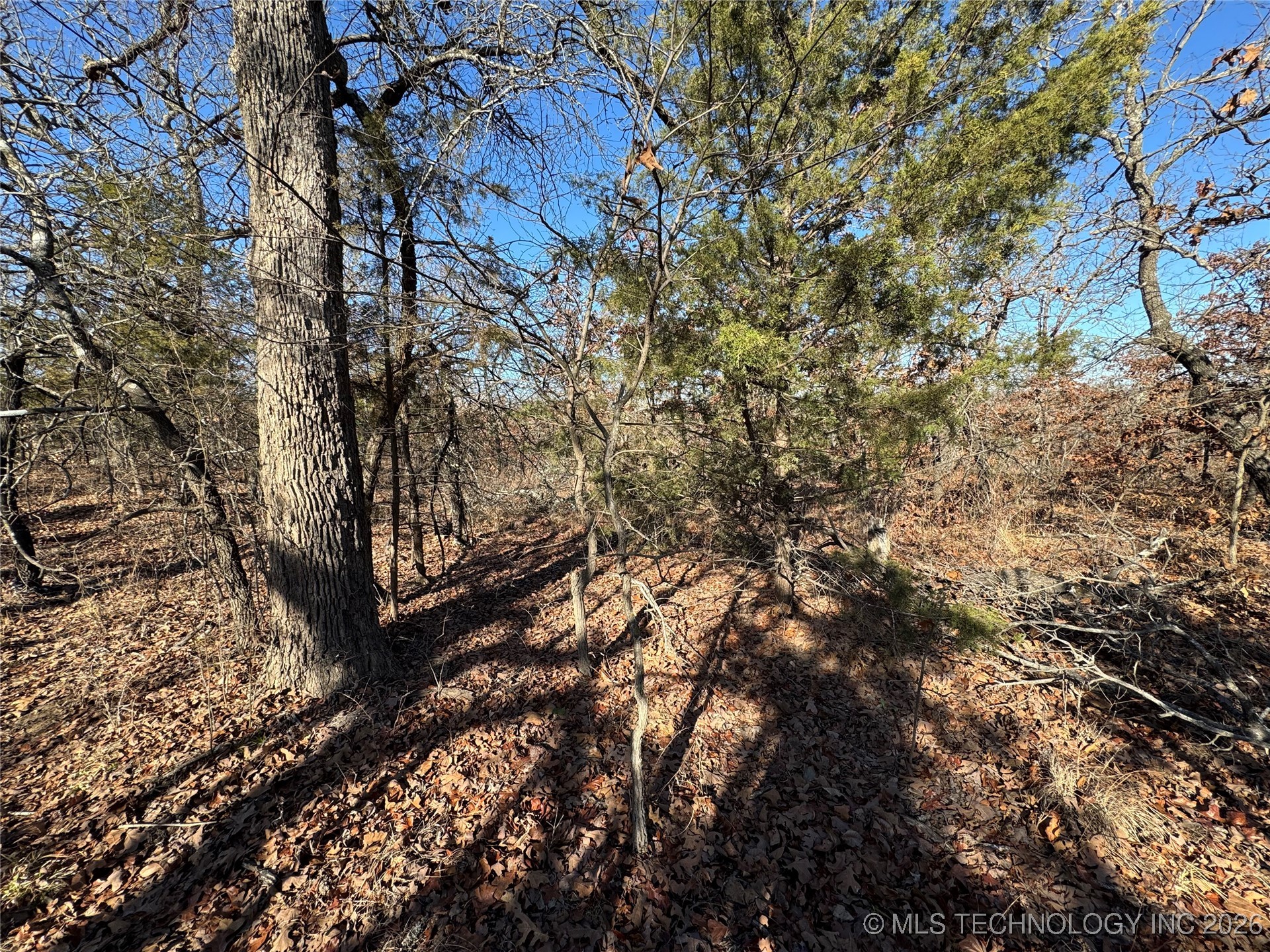 2501 Lott Bottom Property Photo 17