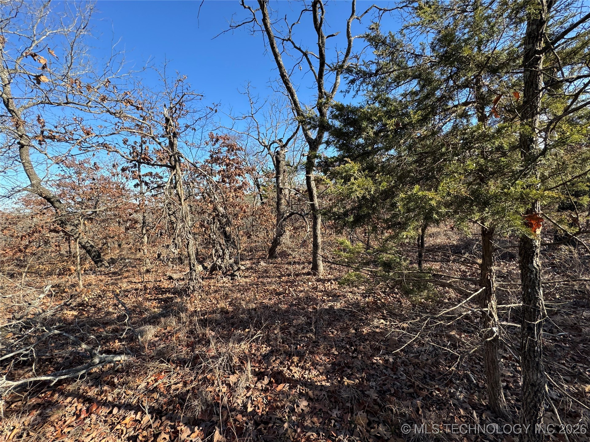 2501 Lott Bottom Property Photo 18