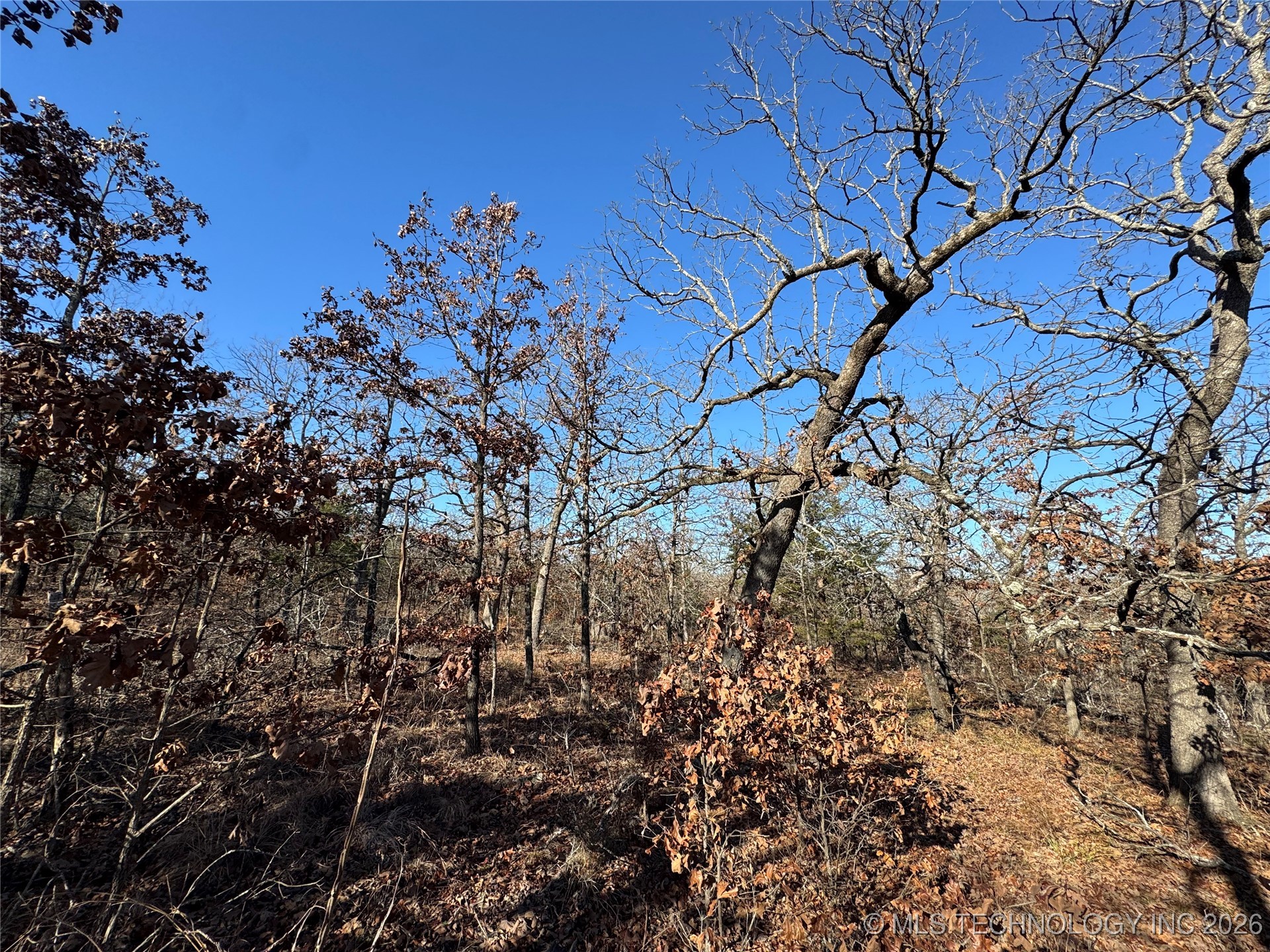 2501 Lott Bottom Property Photo 19