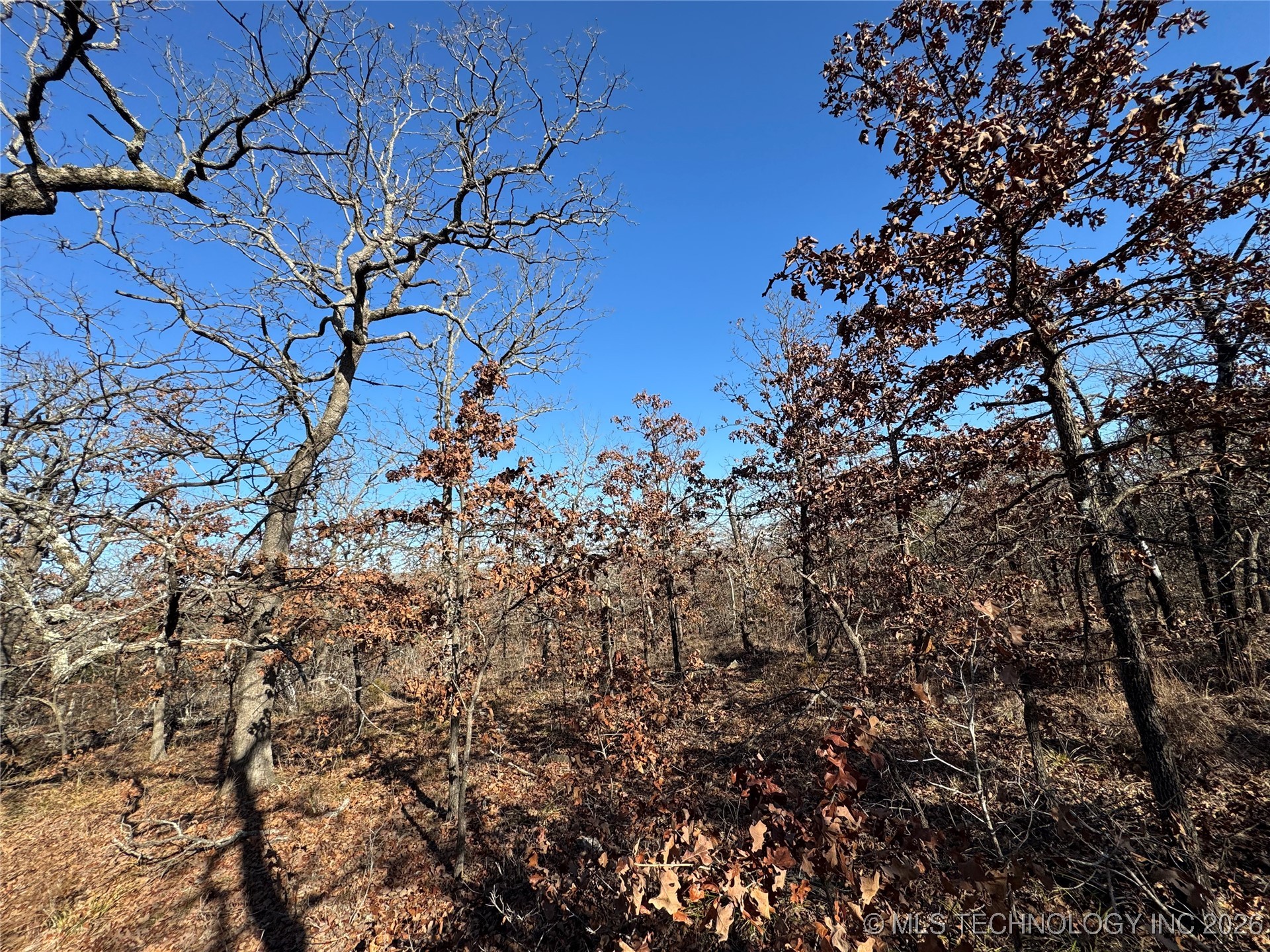 2501 Lott Bottom Property Photo 20