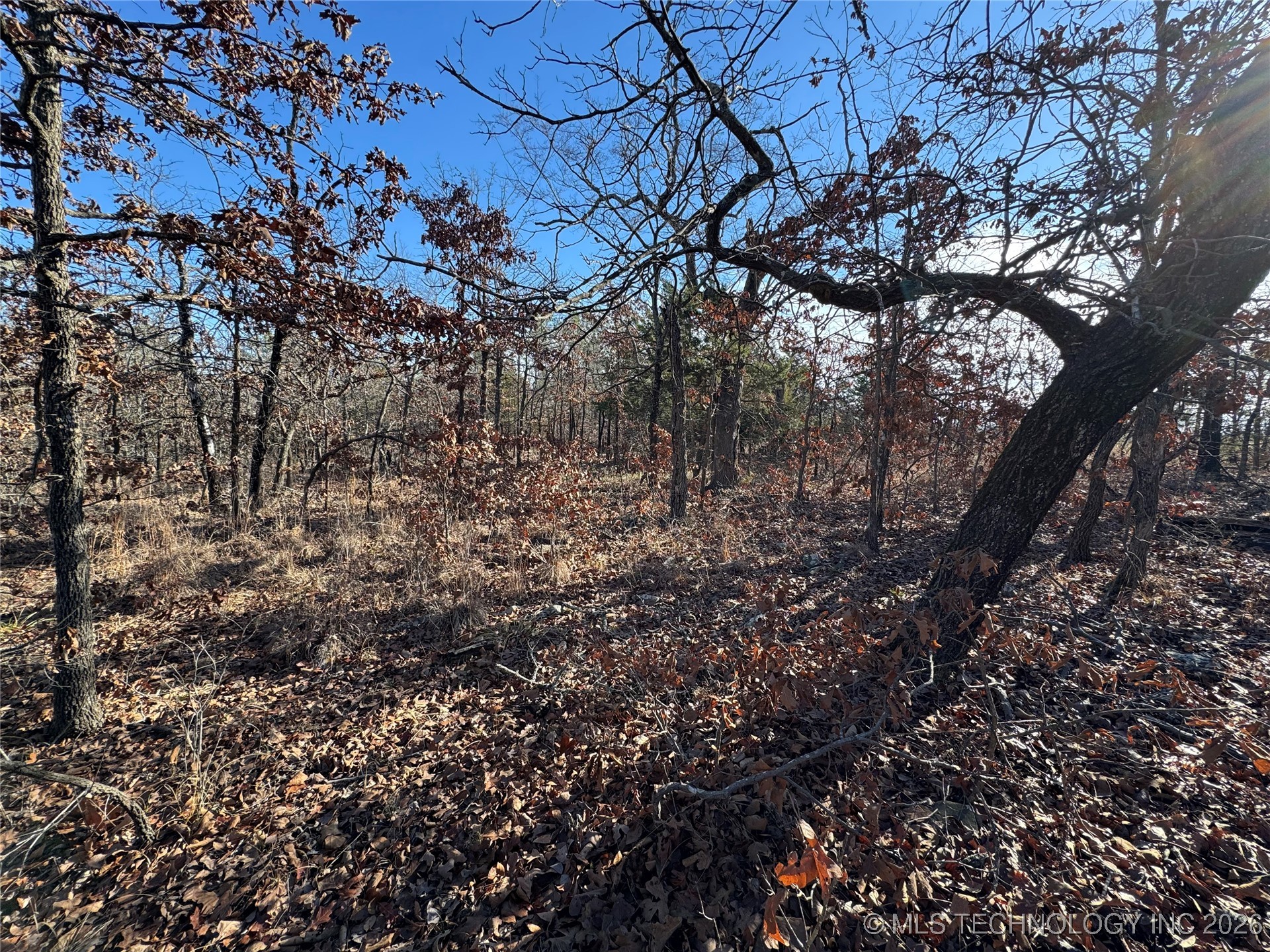 2501 Lott Bottom Property Photo 21