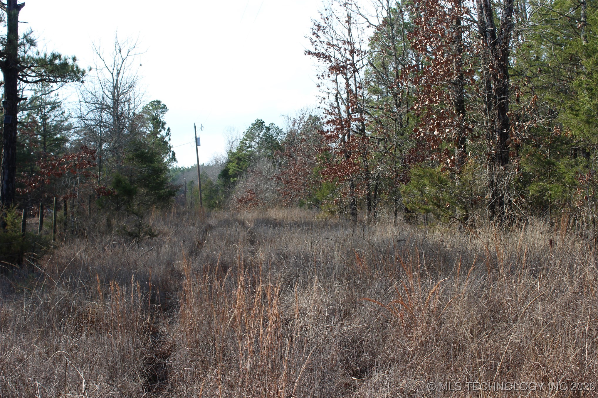 34 Tram Trail Property Photo 5