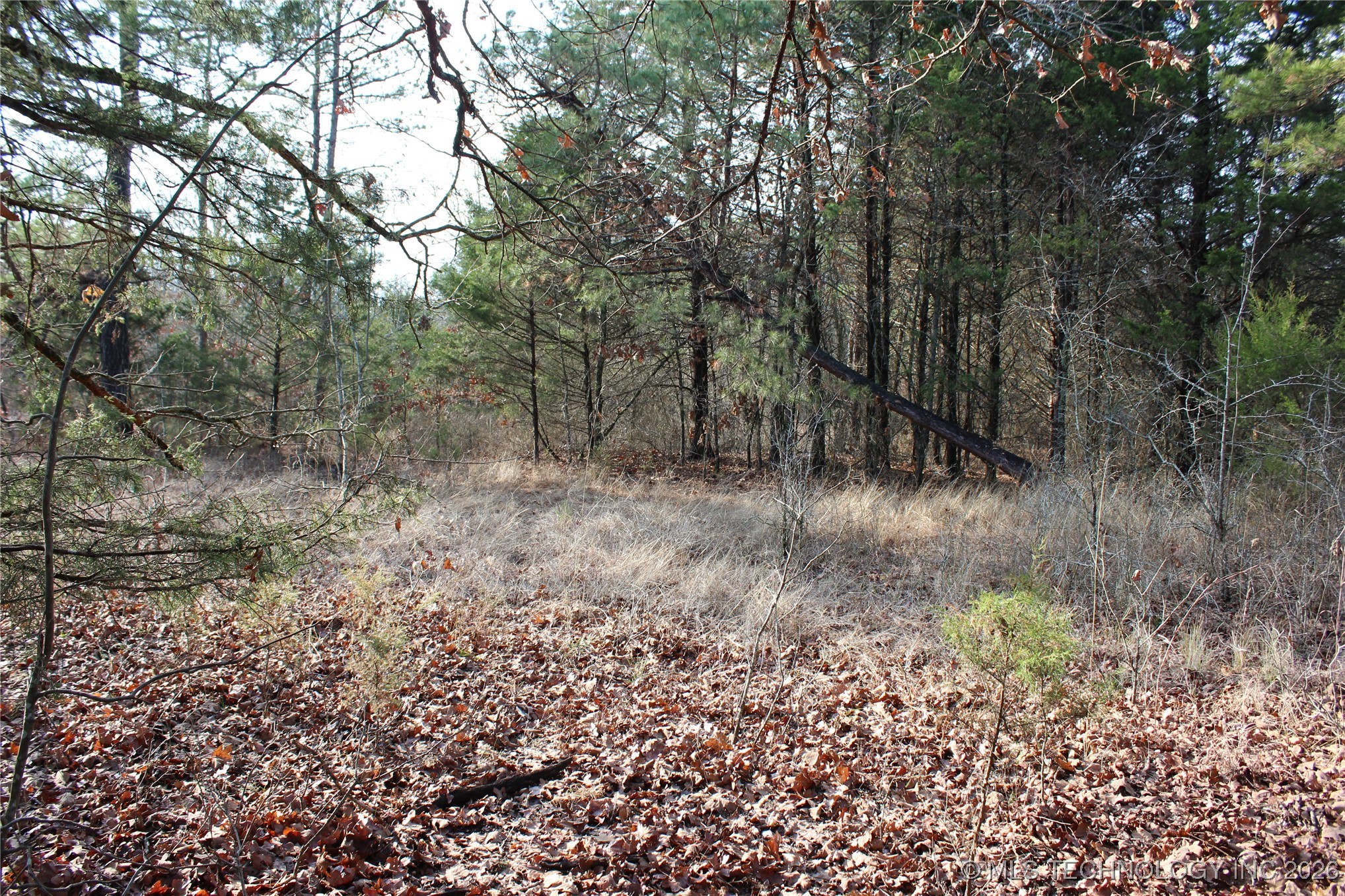 34 Tram Trail Property Photo 7