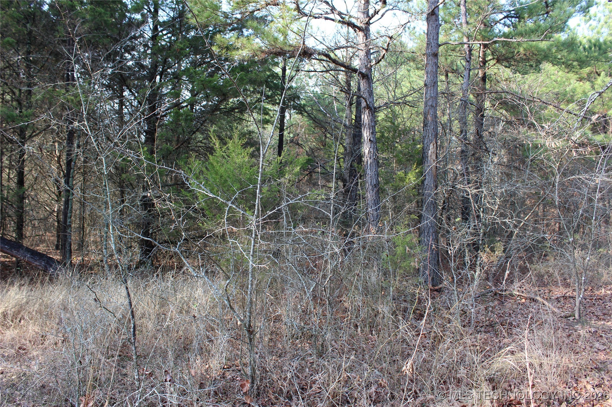 34 Tram Trail Property Photo 8