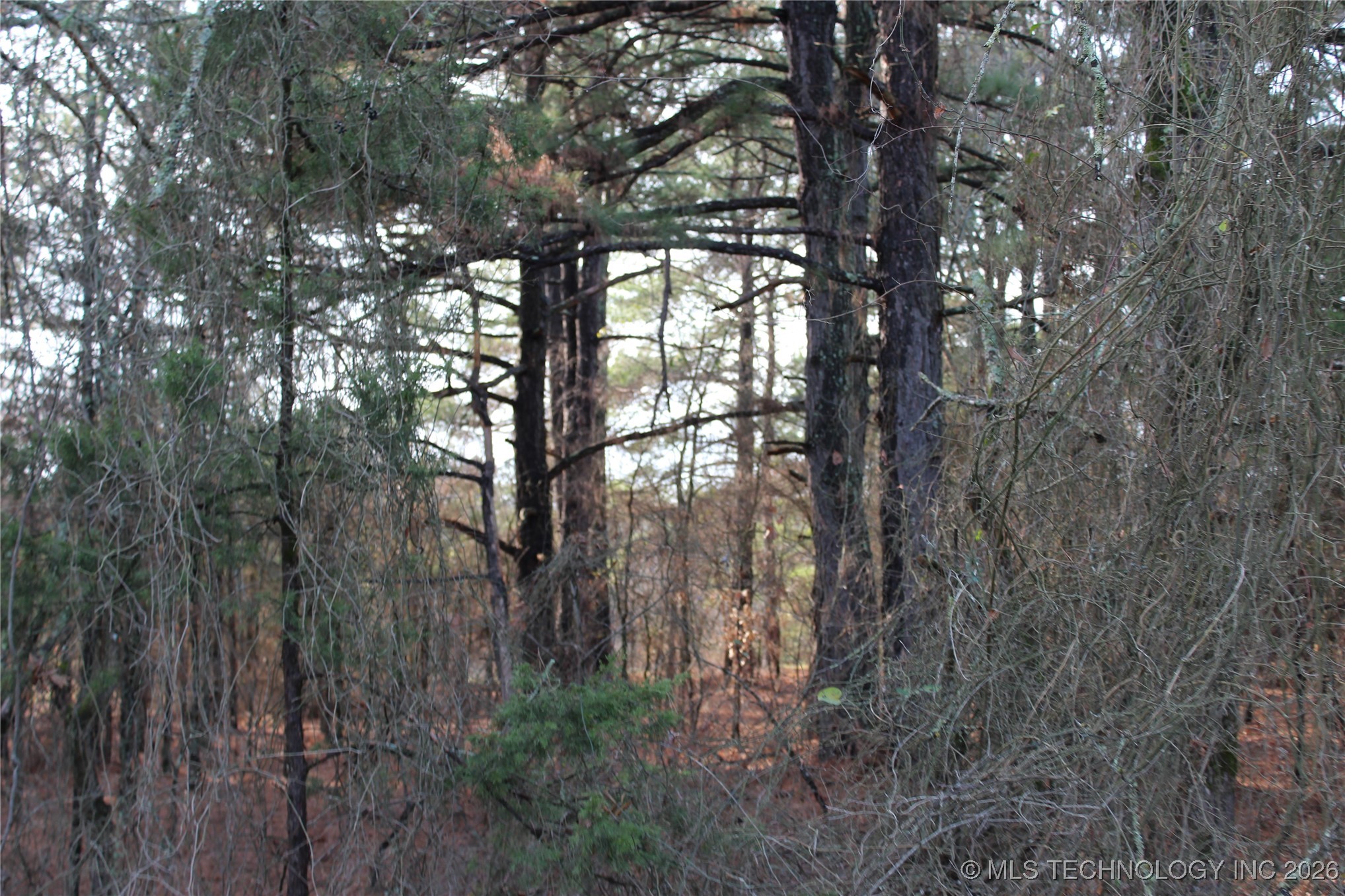 34 Tram Trail Property Photo 9