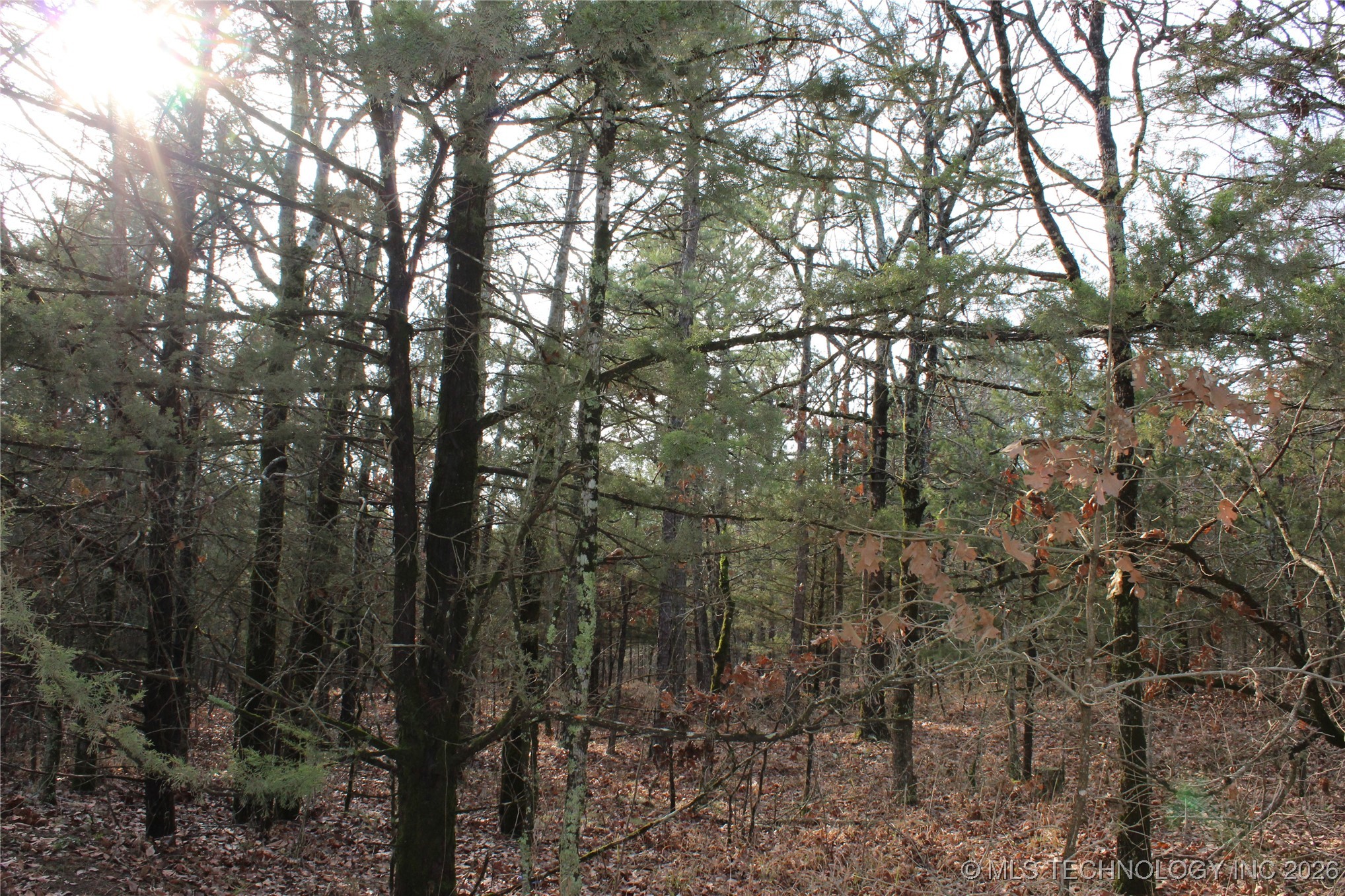 34 Tram Trail Property Photo 10