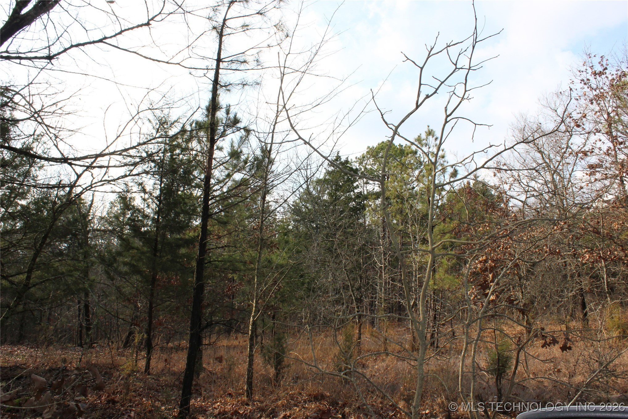 34 Tram Trail Property Photo 12