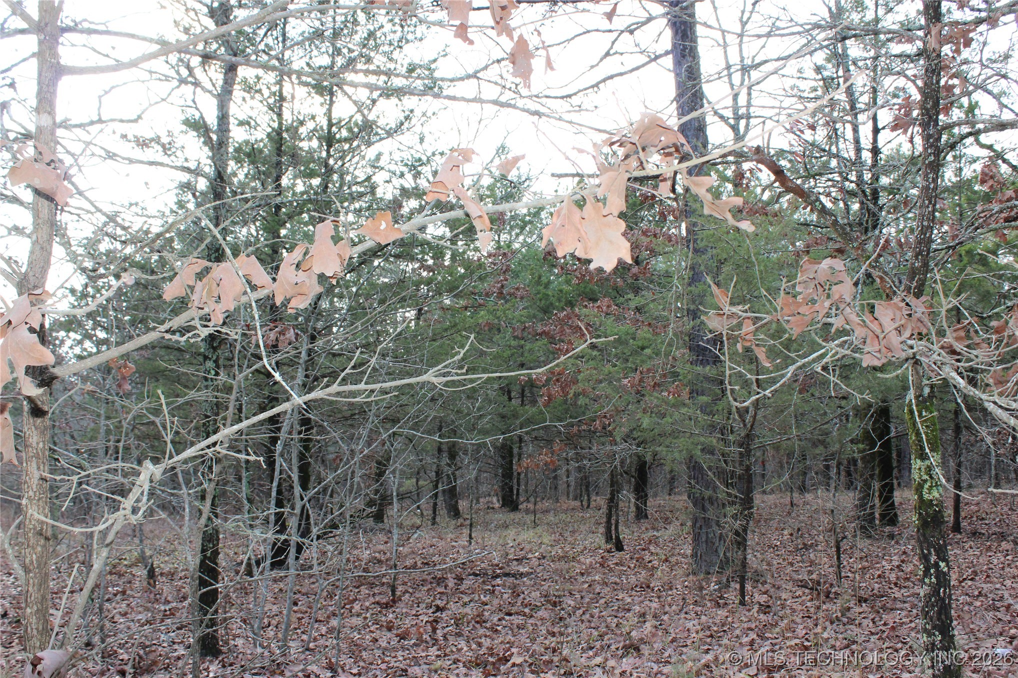 34 Tram Trail Property Photo 13