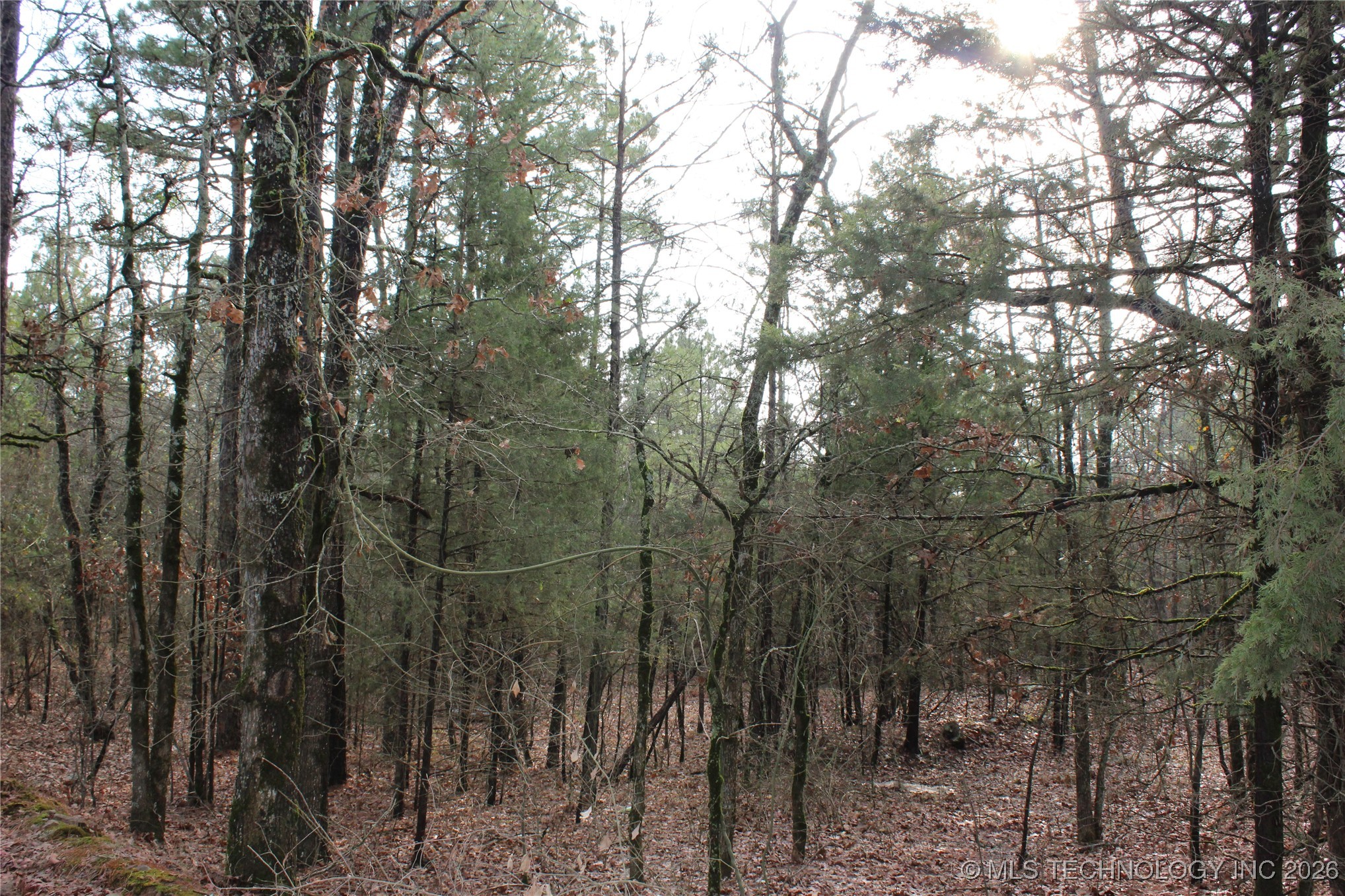 34 Tram Trail Property Photo 14