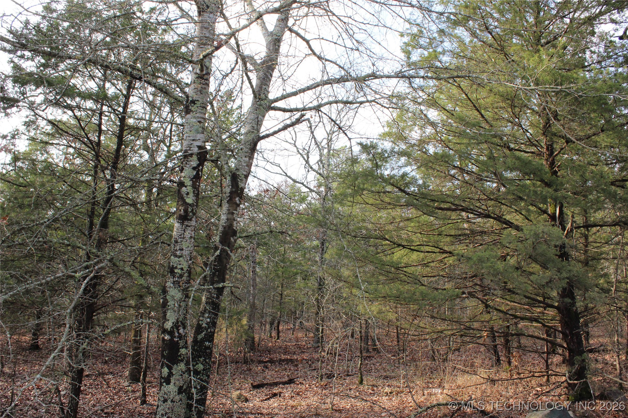 34 Tram Trail Property Photo 15