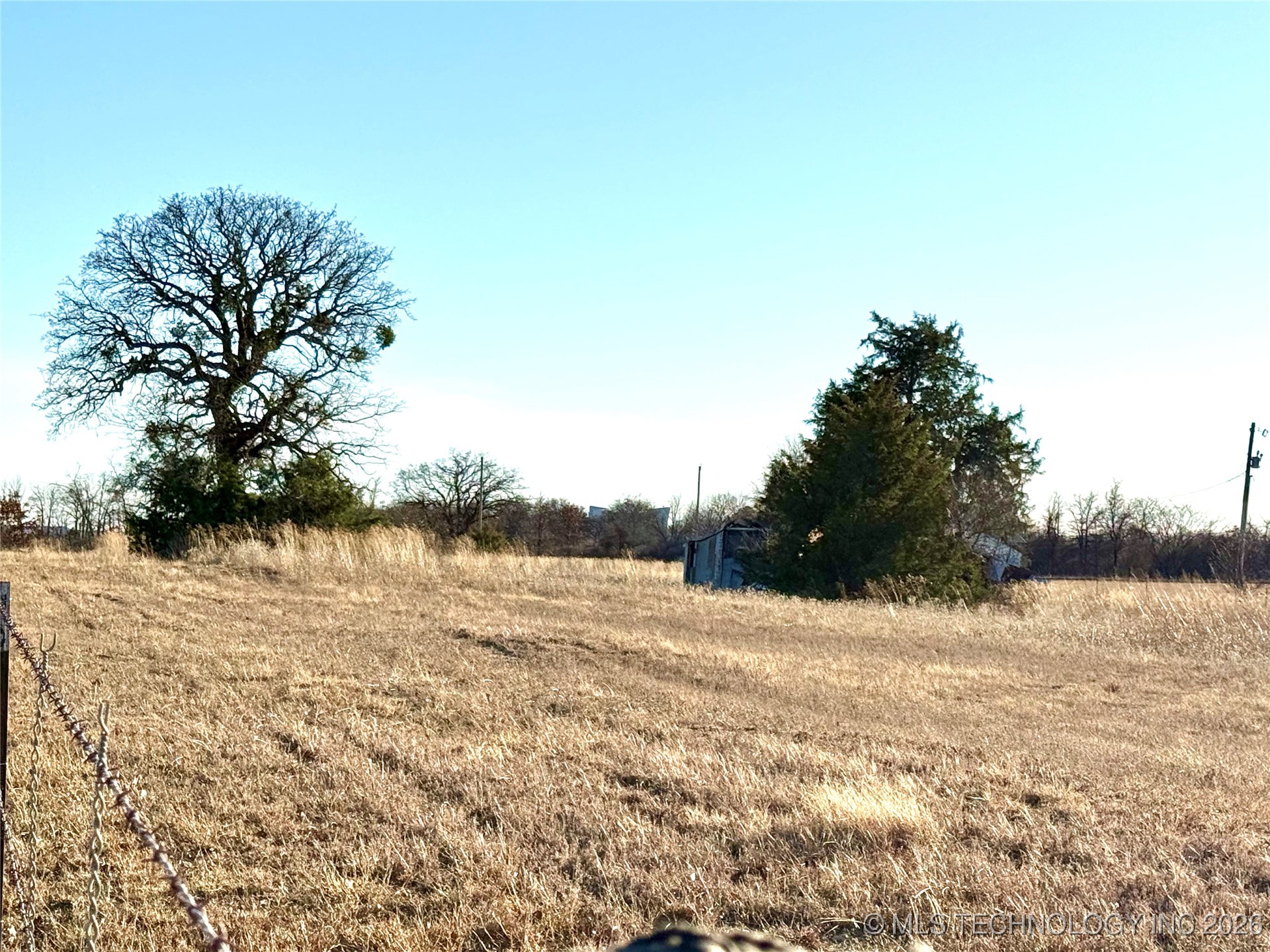 Brush Turkey Property Photo 4