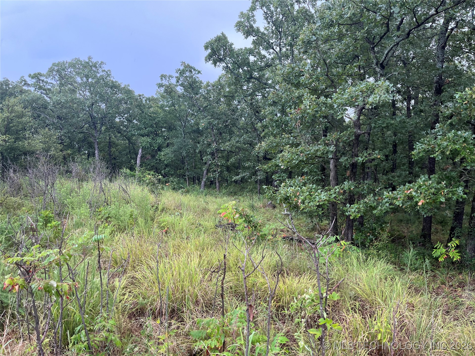 Rural Route Property Photo 4