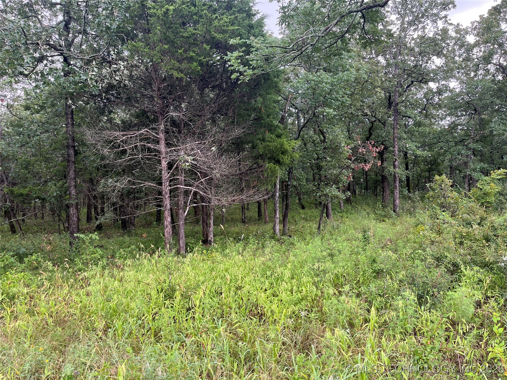 Rural Route Property Photo 5