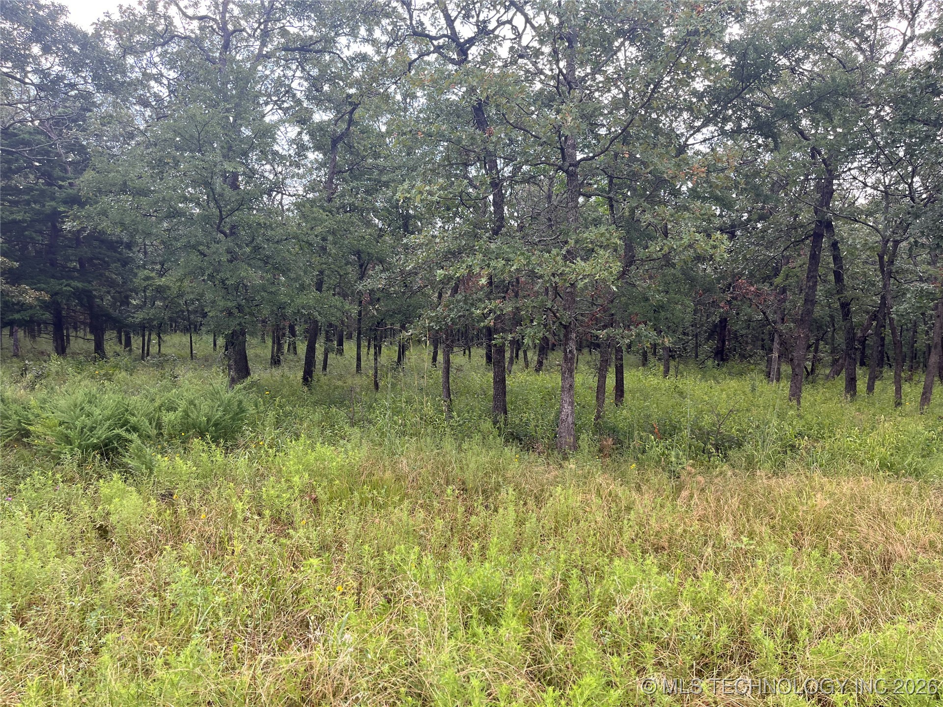 Rural Route Property Photo 6