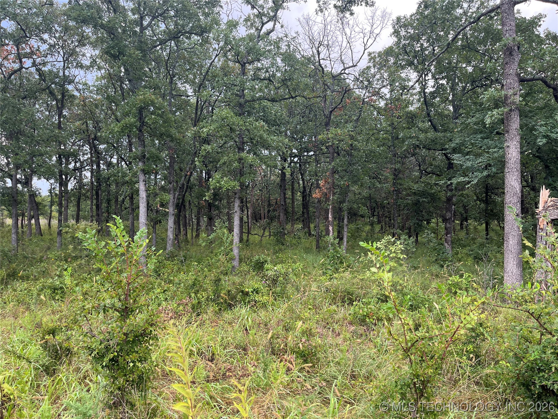 Rural Route Property Photo 11