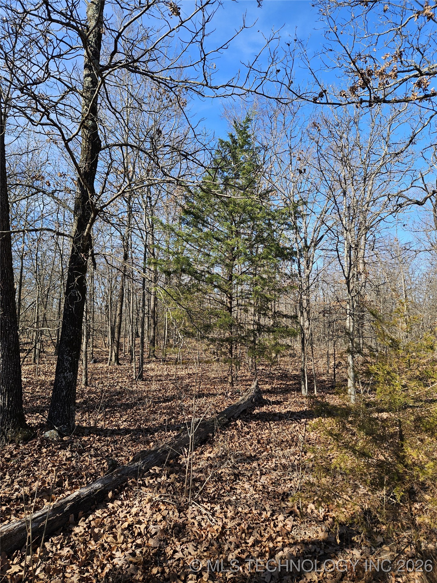 54601 E 233 Road Property Photo 1