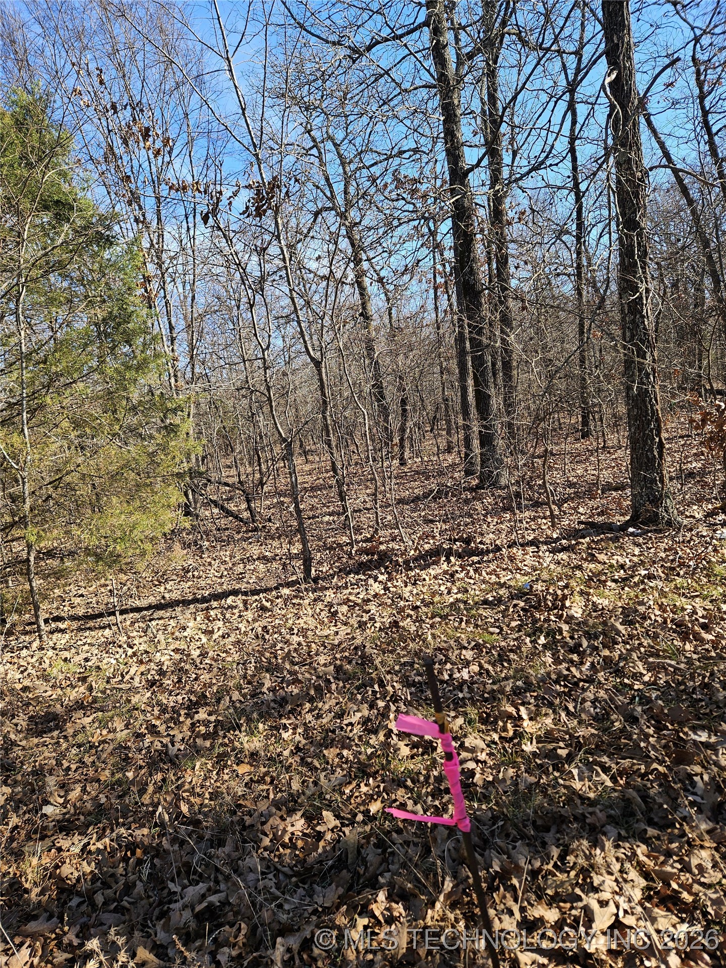 54601 E 233 Road Property Photo 2