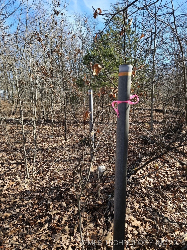 54601 E 233 Road Property Photo 9