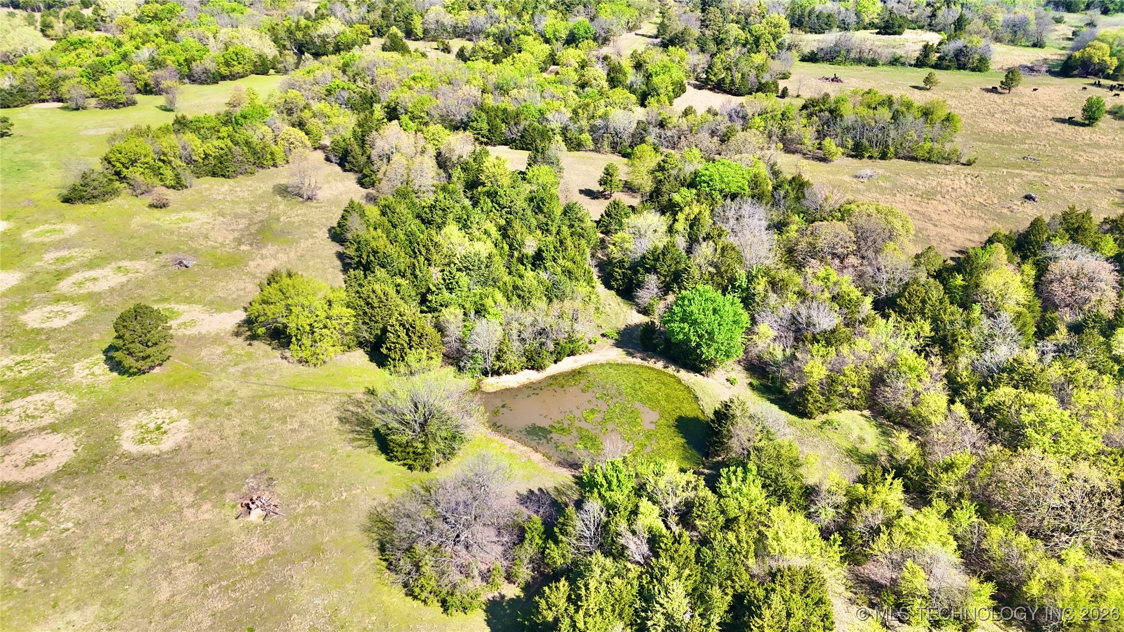 2 W County Road 1260 Property Photo 8